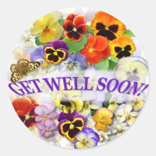 Pansy Beauty with buttterfly Get Well Classic Round Sticker