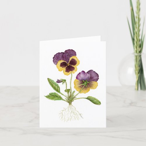 Pansy Blank Card