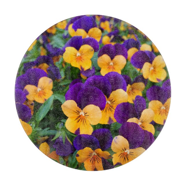 Pansy Bloom: Garden Beauty Close-up. Cutting Board (Front)