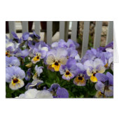 Pansy Blues Fence (Front Horizontal)