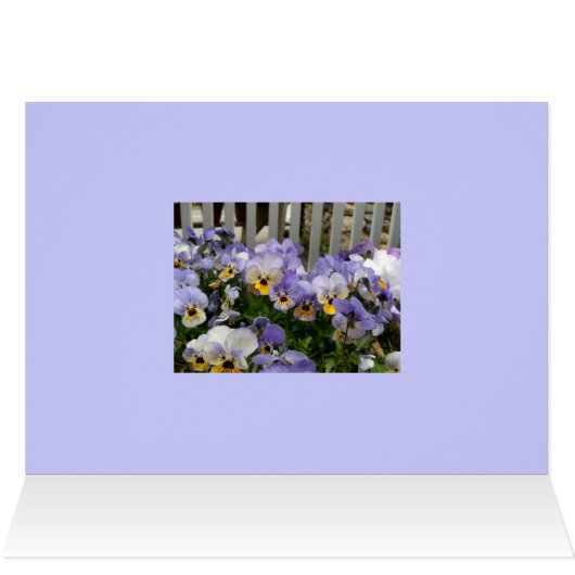 Pansy Blues Fence (Inside Horizontal (Top))