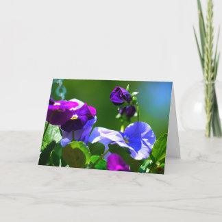 PANSY CARD-ANY OCCASION CARD