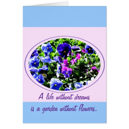 Pansy Cards (Front)