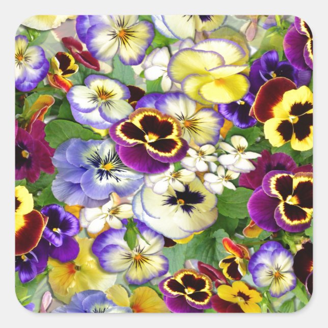 Pansy Cascade Square Sticker (Front)