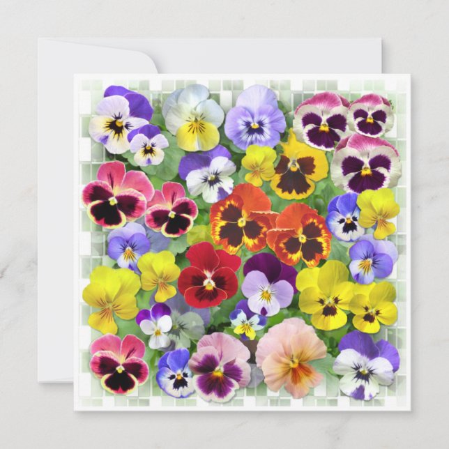 Pansy Collage Card (Front)