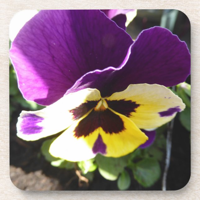 Pansy cork coaster (Front)