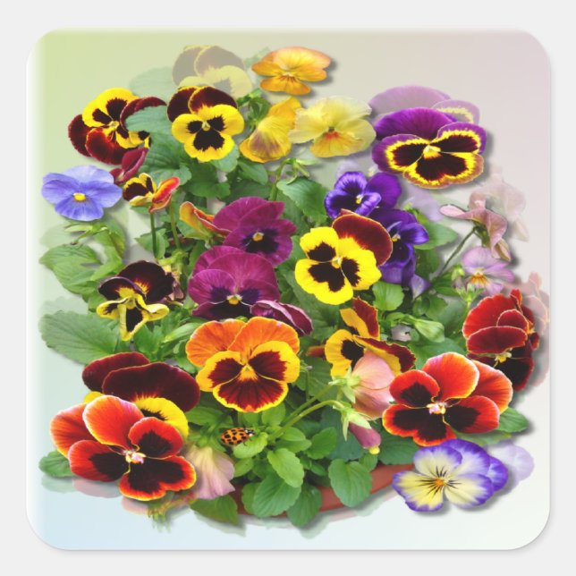 PANSY DELIGHT ~ Square Envelope Sealer/ Sticker (Front)