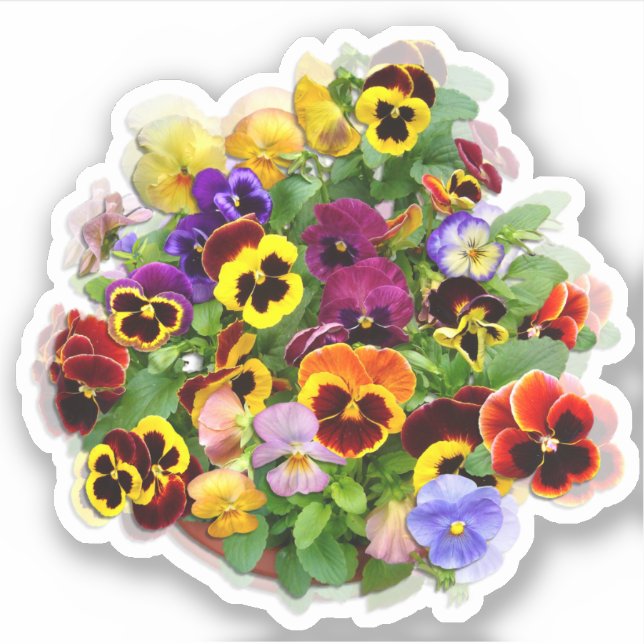 Pansy Display Custom-Cut Vinyl Sticker (Front)