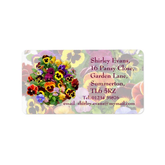 Pansy Display ~ Label (Front)