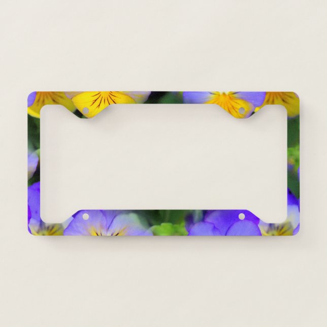 Pansy echos license plate frame (Front)