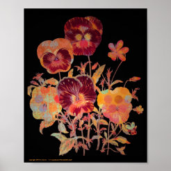 Pansies by Alexis Hall Pansies by Alexis Hall