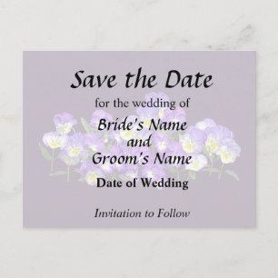 Pansy Family Reunion Announcement Postcard