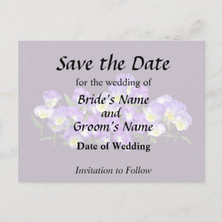 Pansy Family Reunion Announcement Postcard