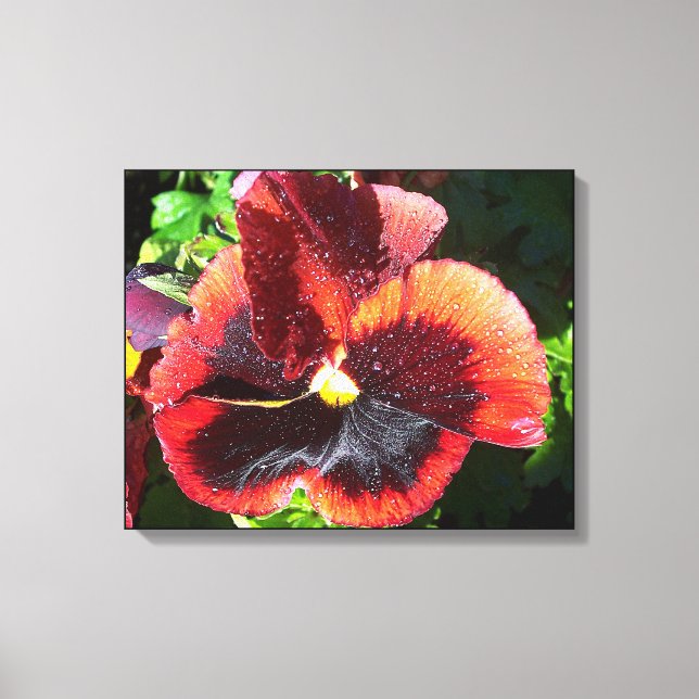 Pansy Flower Canvas Print (Front)