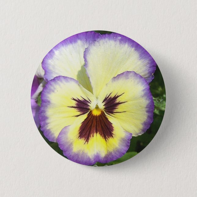 Pansy Flower Pictures Round Button (Front)