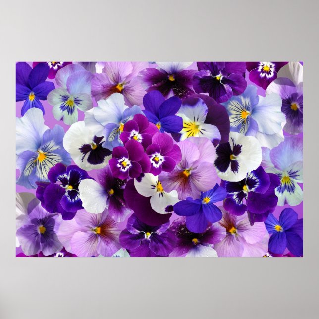 Pansy Flower Wallpaper Art Poster (Front)