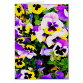 pansy flowers (Front)