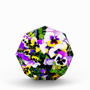 pansy flowers acrylic award