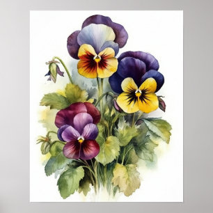 Pansy Flowers Art Print Poster