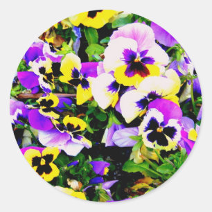 pansy flowers classic round sticker