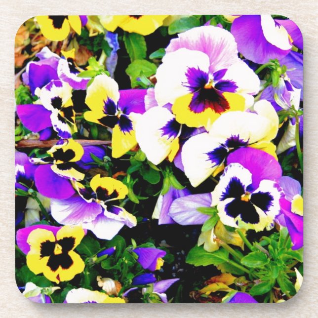 pansy flowers drink coaster (Front)