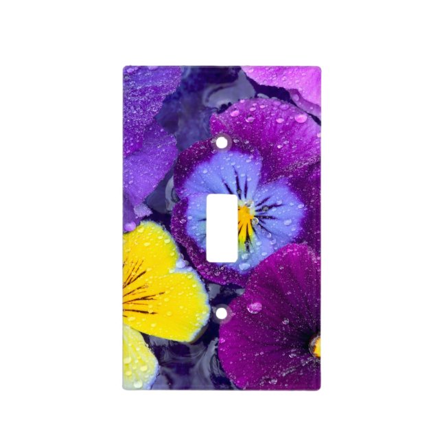Pansy flowers floating in bird bath with dew 2 light switch cover (Front)