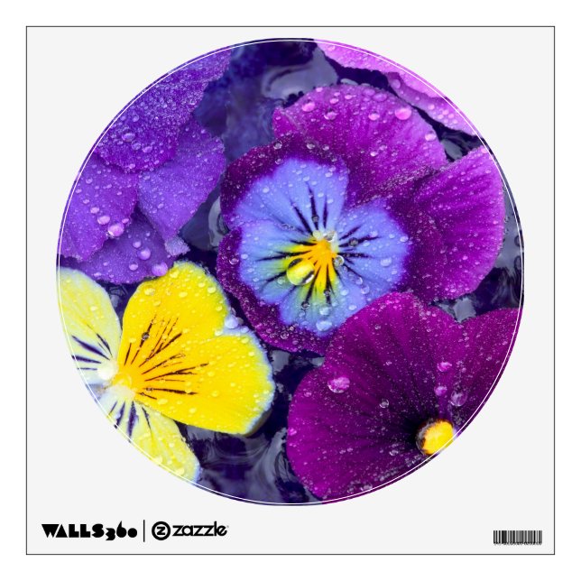 Pansy flowers floating in bird bath with dew 2 wall decal (Front)