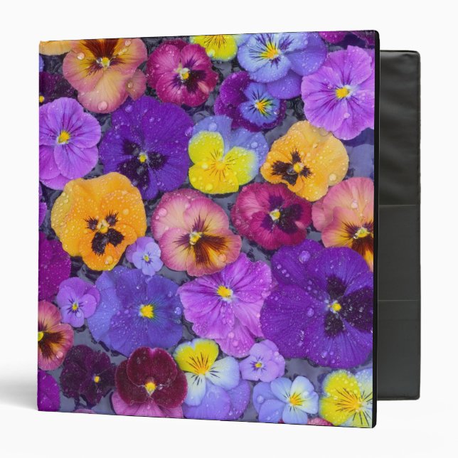 Pansy flowers floating in bird bath with dew 3 ring binder (Front/Inside)