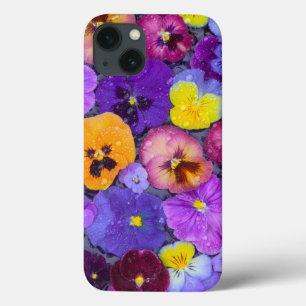 Pansy flowers floating in bird bath with dew iPhone 13 case
