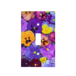 Pansy flowers floating in bird bath with dew light switch cover