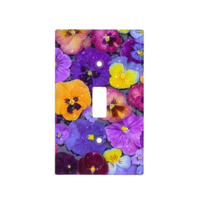 Pansy flowers floating in bird bath with dew light switch cover (Front)