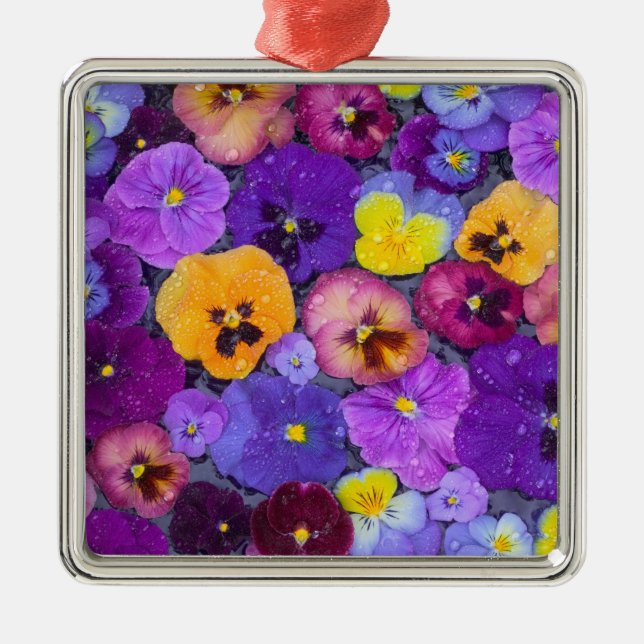 Pansy flowers floating in bird bath with dew metal ornament (Front)