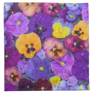 Pansy flowers floating in bird bath with dew napkin