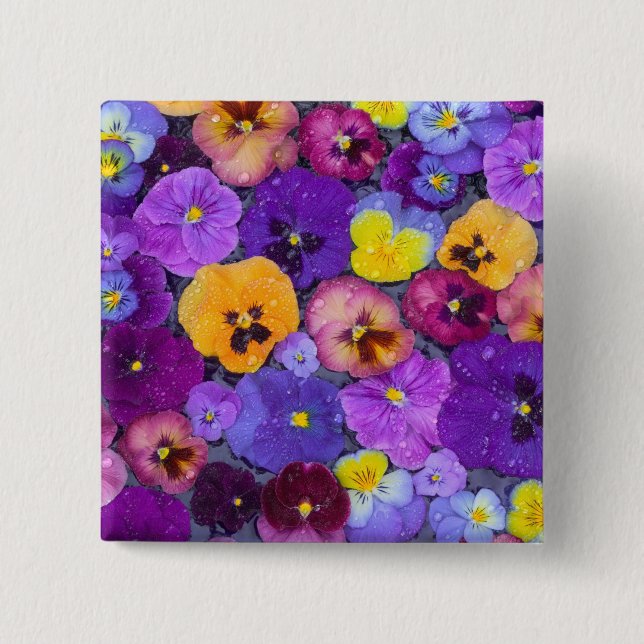 Pansy flowers floating in bird bath with dew pinback button (Front)