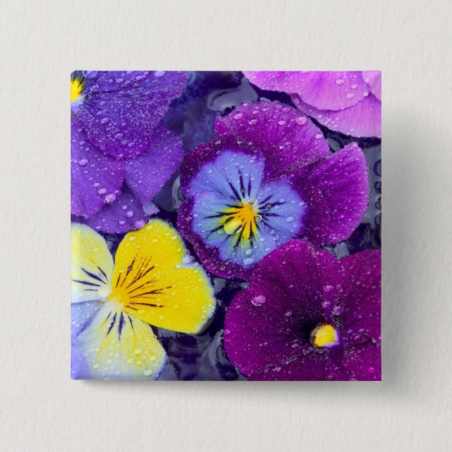 Pansy flowers floating in bird bath with dew pinback button (Front)