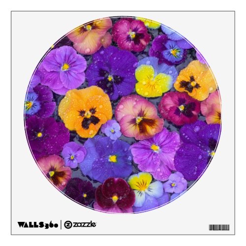 Pansy flowers floating in bird bath with dew wall sticker