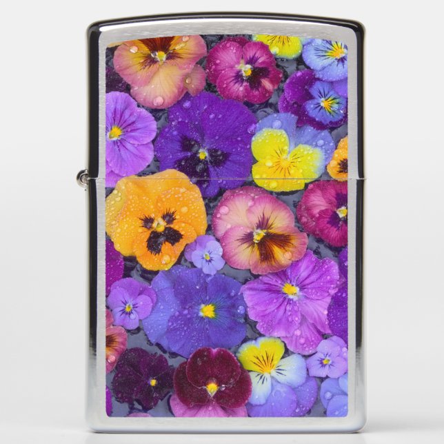 Pansy flowers floating in bird bath with dew zippo lighter (Front)