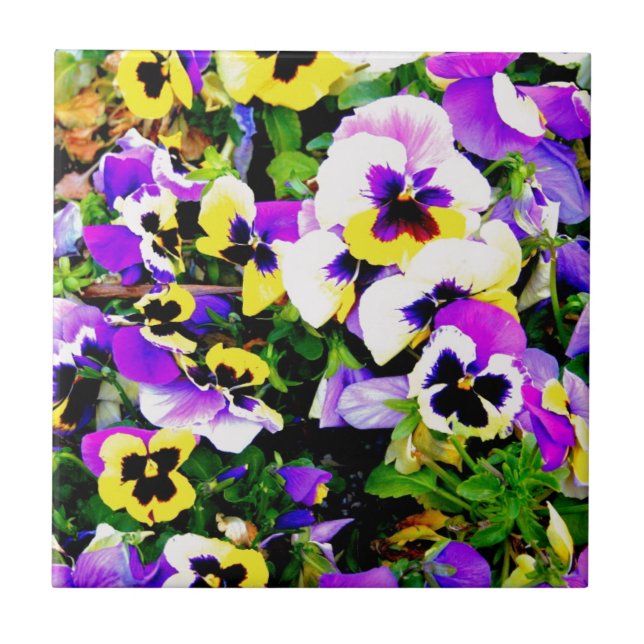 pansy flowers tile (Front)