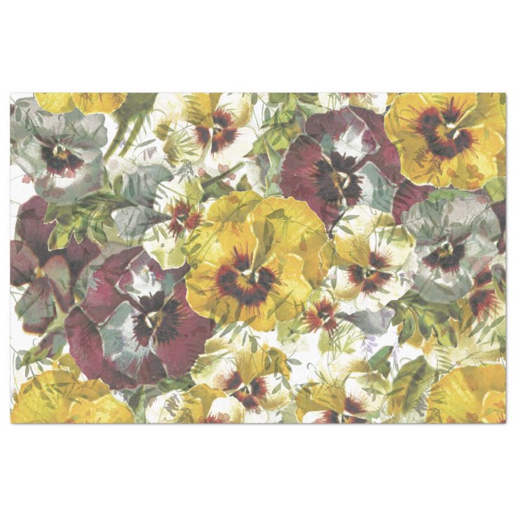 Pansy Garden Tissue Paper Zazzle