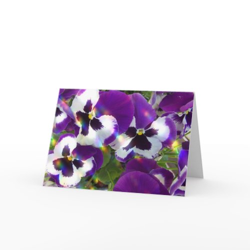 Pansy Greeting Card