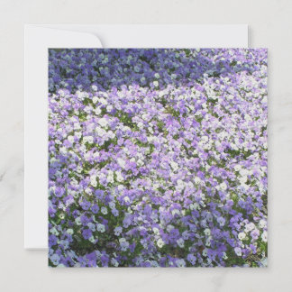 Pansy Invitation