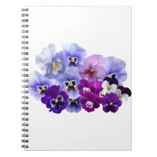 Pansy Isolated Violet Nature Flower Violet Family. Notebook