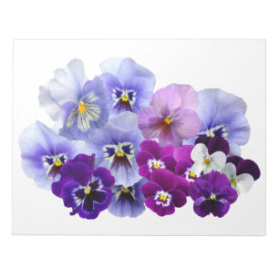 Pansy Isolated Violet Nature Flower Violet Family. Notepad