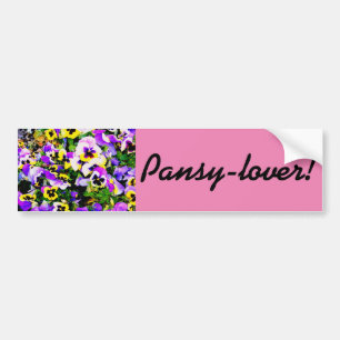 pansy lover bumper sticker