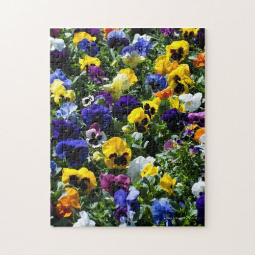 Pansy Lovers Puzzle