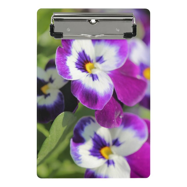 Pansy Mini Clipboard (Front)