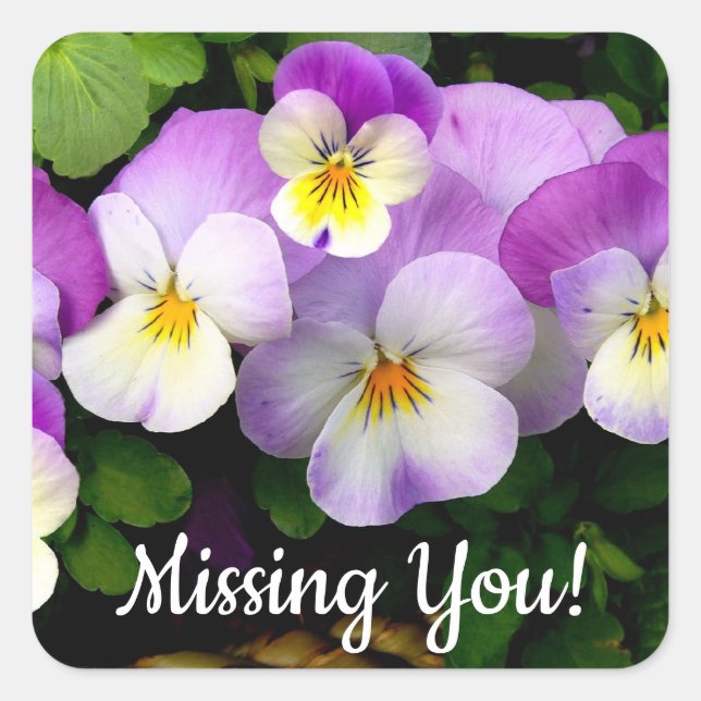 PANSY  Missing You Square Sticker (Front)