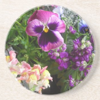 Pansy N' Friends Coaster by minx267 at Zazzle