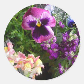 Pansy N Friends Stickers by minx267 at Zazzle
