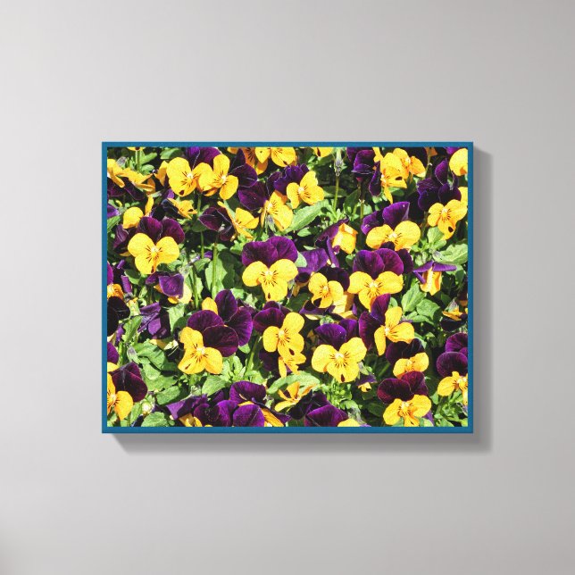 Pansy Overload Stretched Canvas Print (Front)